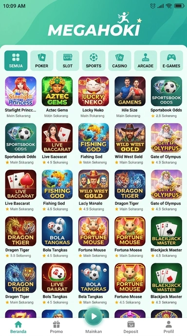 Tampilan katalog aplikasi megahoki